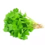 Coriander Leaves (Dhonia Pata) 100 gm
