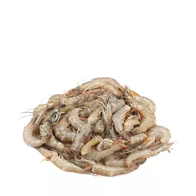 Horina Chingri (Shrimp) 65-80 pcs ±15 gm